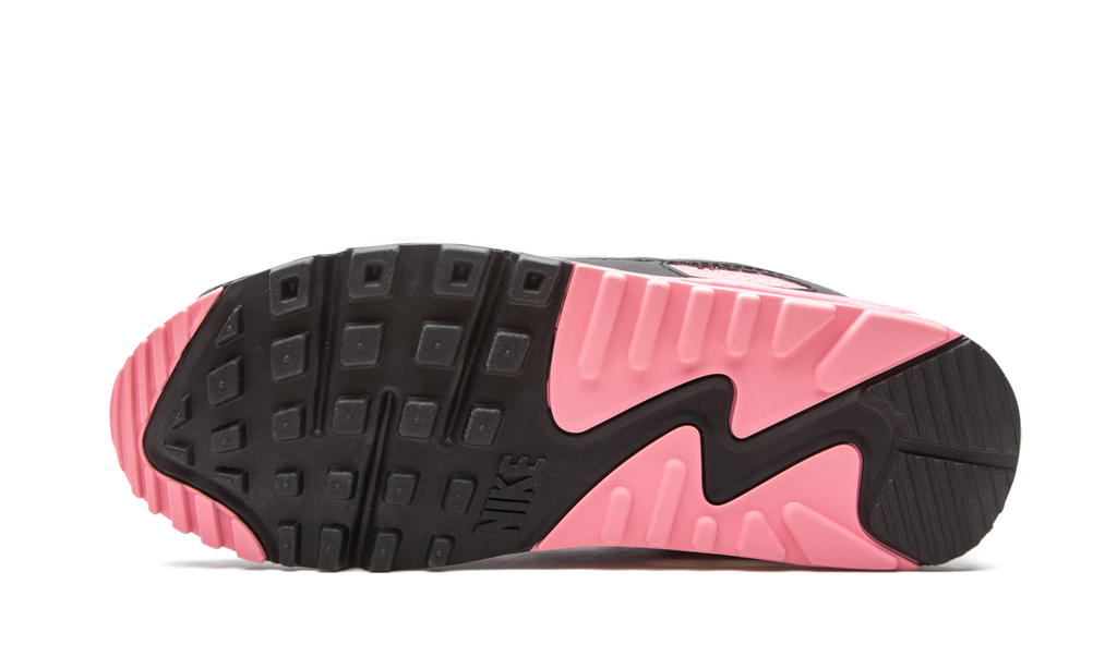 Air Max 90 W "Rose" CD0490 102